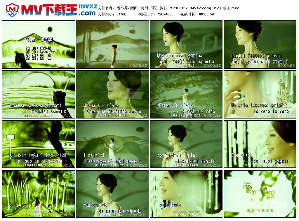 潘小芬-偷洒一滴泪_国语_流行_MB105162